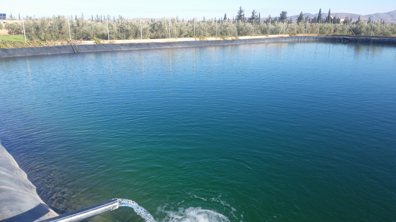Bassin de pompage elfa solaire Bassin de pompage elfa solaire
